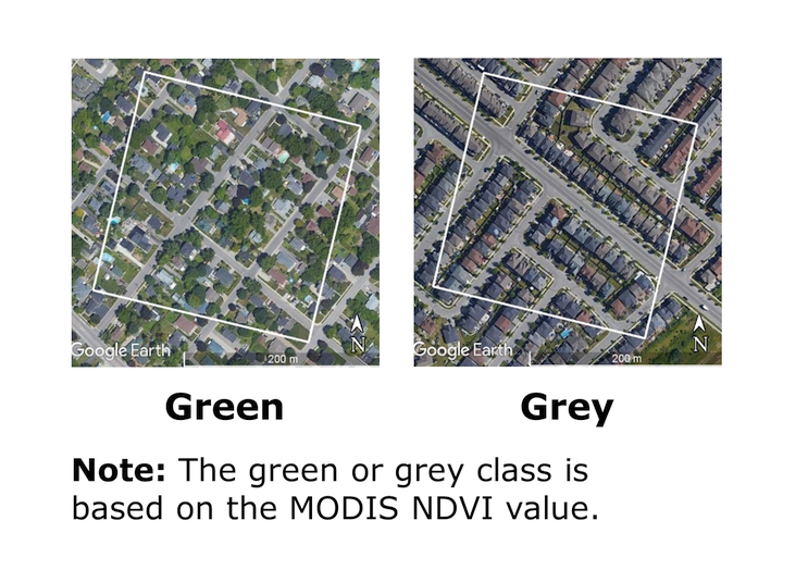 Thumbnail for map 1: Examples of urban pixels classed as green or grey