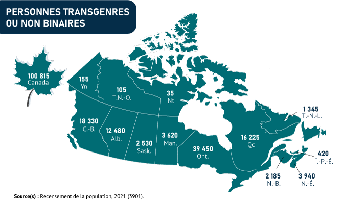 Vignette de la carte 1: L'Ontario, la province la plus peuplée du Canada, compte le plus grand nombre de personnes transgenres ou non binaires