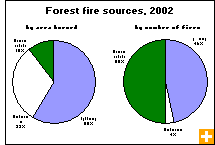 Chart: Forest fire sources, 2002