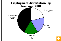 Chart: Employment distribution, by firm size, 2001