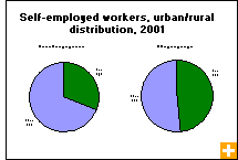 Chart: Self-employed workers, urban/rural distribution, 2001