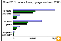 Chart 21.1  Labour force, by age and sex, 2008
