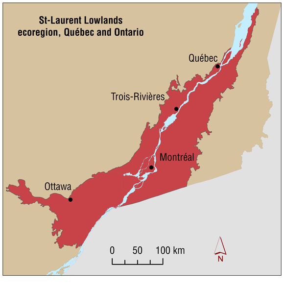 Map 15.2 St-Laurent Lowlands ecoregion, Quebec  and Ontario