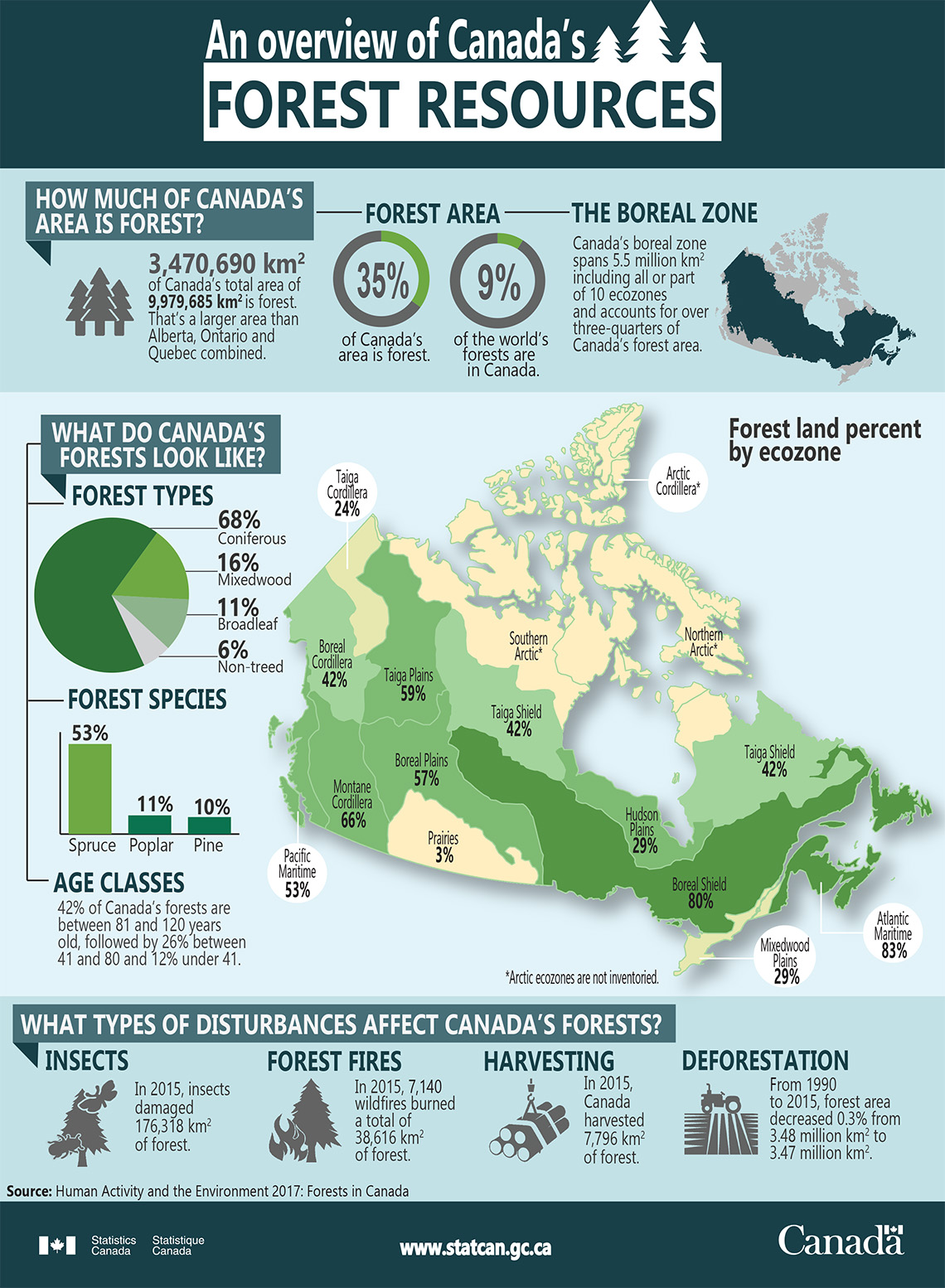 Infographic: An overview of Canada's forest resources