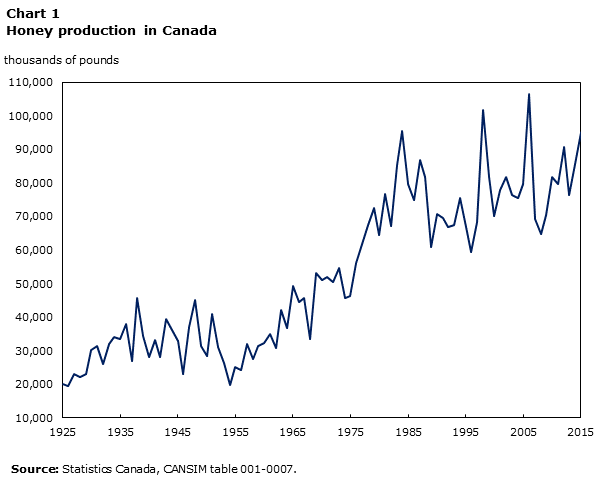 Chart 1: Honey production in Canada