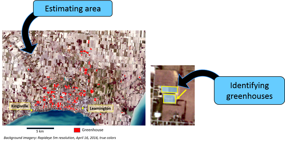 Map 5 - Greenhouse identification and area estimates using satellite data