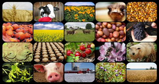 a mosaic of agriculture related images