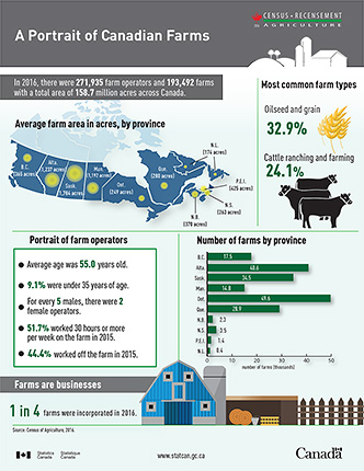A Portrait of Canadian Farms infographic thumbnail