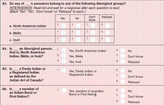 2006 Aboriginal Children's Survey identification questions.