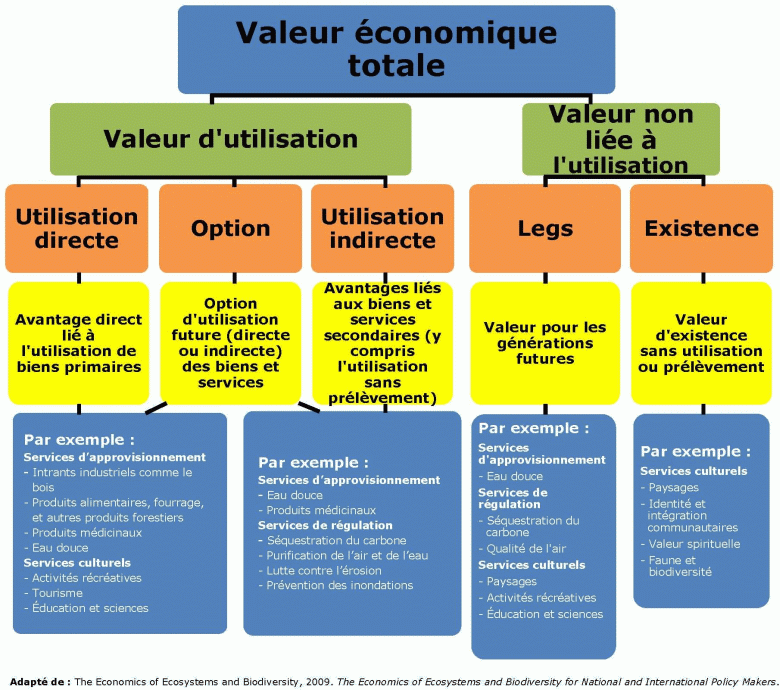 Cadre de la valeur économique totale
