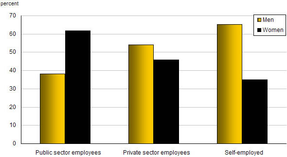 Chart E.10 Distribution of employment, by class of worker and sex, 2007