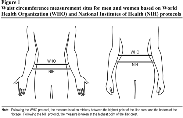 Figure 1 Waist circumference measurement sites for men and women based on World Health Organization (WHO) and National Institutes of Health (NIH) protocols