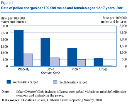 Figure 1: Rate of police charges per 1000,000 males and females aged 12-17 years, 2001