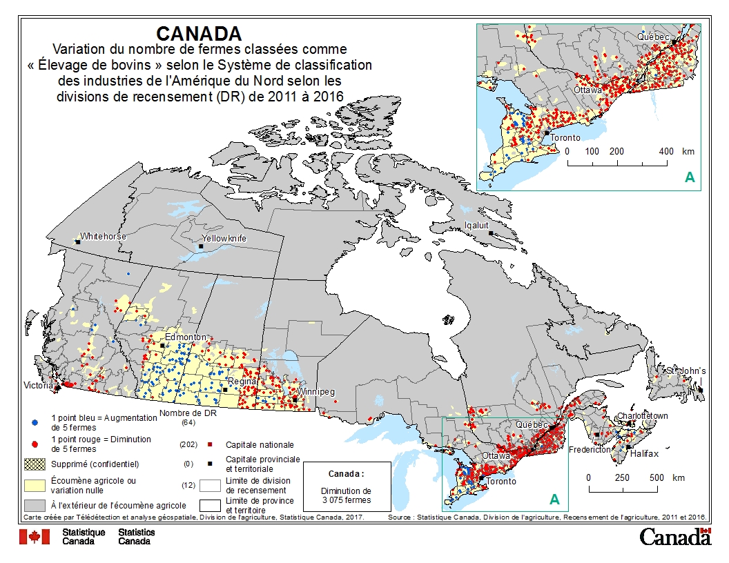 Variation du nombre de fermes classées comme « Élevage de bovins » selon le Système de classification des industries de l'Amérique du Nord selon les divisions de recensement (DR) de 2011 à 2016