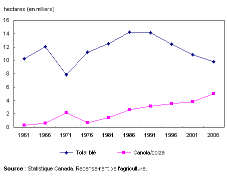 Figure 1 Superficie consacrée aux cultures du blé et du canola/colza, années de recensement de 1961 à 2006.