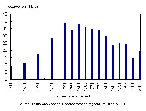 Figure 2 Superficie ensemencée en betteraves à sucre au Canada, années de recensement, 1911 à 2006