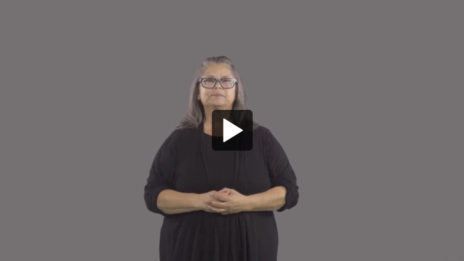 Introduction to the Survey on Accessibility in Federal Sector Organizations, American Sign Language - thumb
