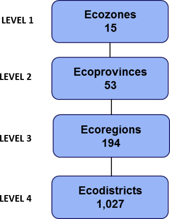 Figure 1 Ecological Land Classification hierarchy