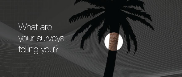 A black and grey silhouette of a palm tree with a circular area highlighted in full colour is accompanied by the words, What are your surveys telling you? 
