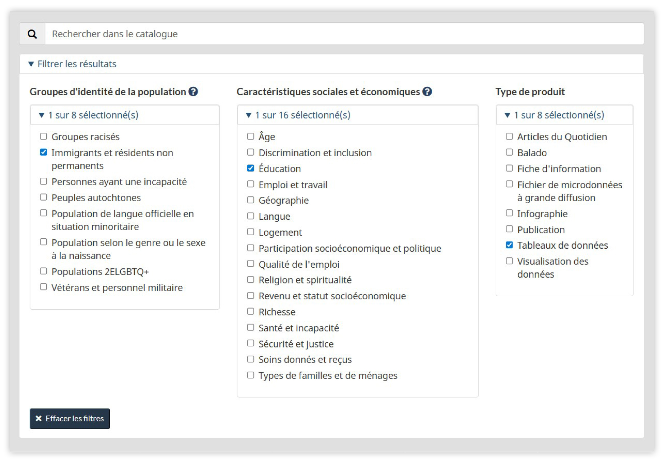Figure 5 - Filtres du Catalogue des statistiques sur le genre, la diversité et l'inclusion
