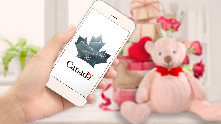 Hand holding cell phone displaying StatsCAN app logo. Pink teddy bear and Valentine's Day decorations in background.