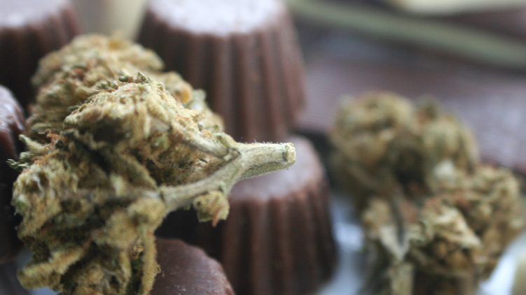 Cannabis on top of and beside some chocolates.
