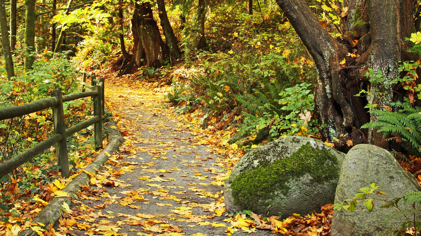 Le parc Stanley à l’automne