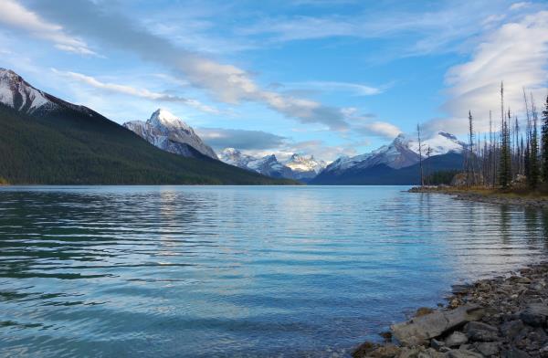 Dépenses de protection de l'environnement par les entreprises
