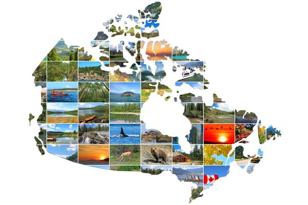 Canadian Tourism Activity Tracker