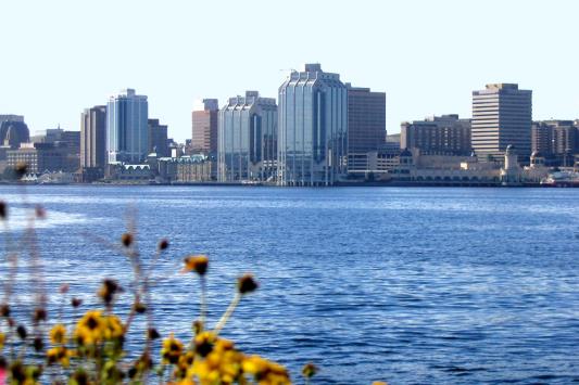 Real-time local business conditions  