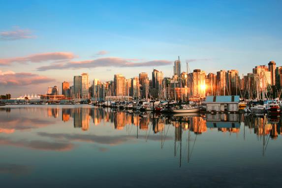 Real estate rental and leasing and property management industries