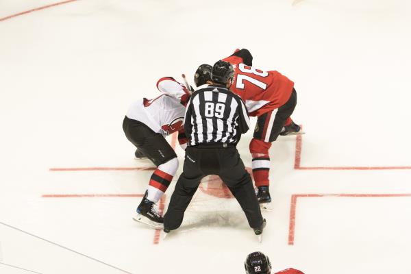 Spectator sports, event promoters, artists and related industries