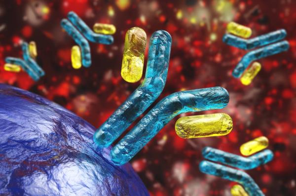 Sociodemographic and Socioeconomic Factors Linked to COVID-19 Mortality Rates