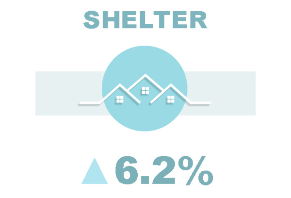 Shelter ▲6.3%