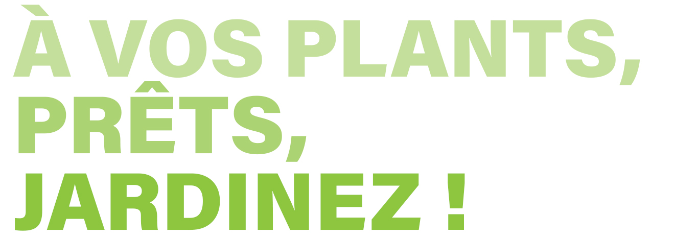 À vos plants, prêts, jardinez !