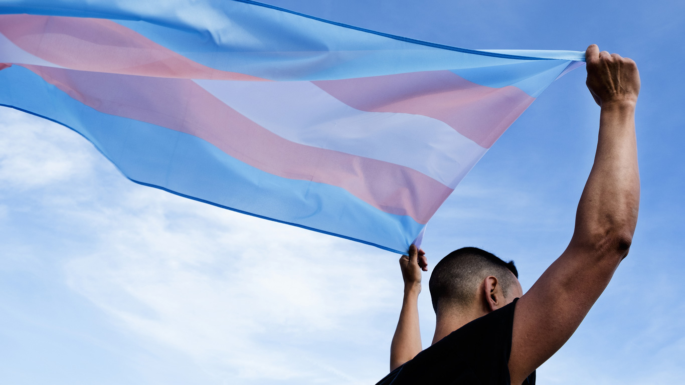 Person holding transgender flag against blue sky