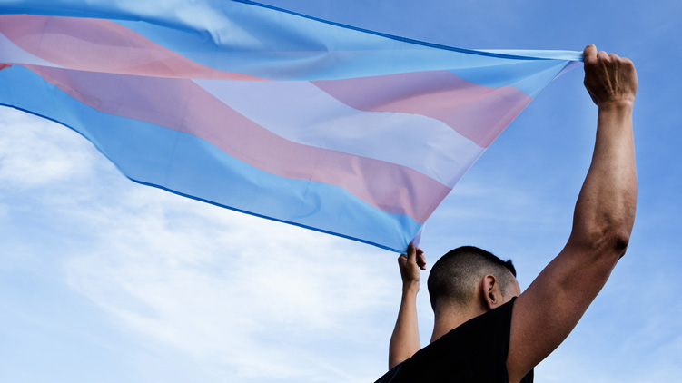 Person holding transgender flag against blue sky 