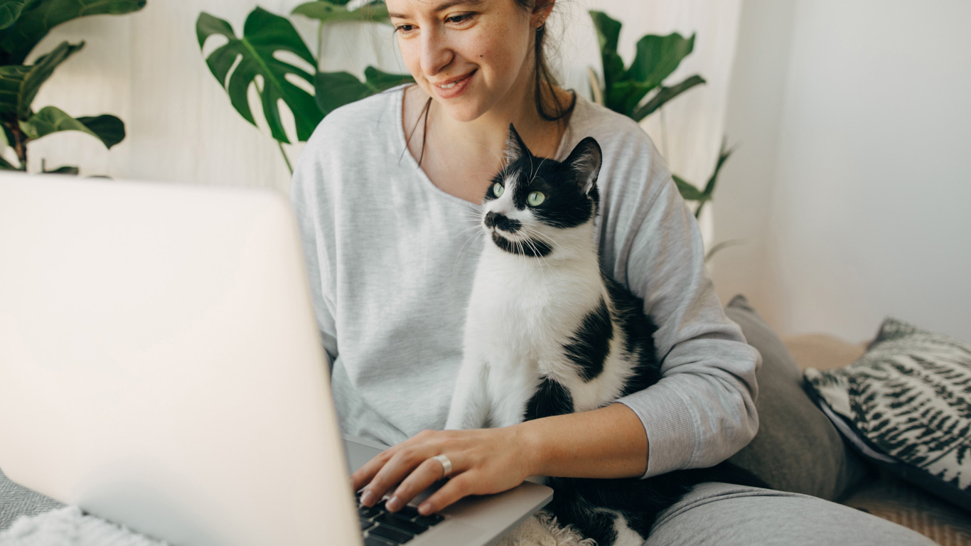 Une personne utilisant un ordinateur portable accompagnée d’un chat sur ses genoux.
