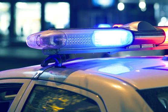 Certains crimes déclarés par la police et demandes d'intervention pendant la pandémie de COVID-19, mars 2020 à mars 2022