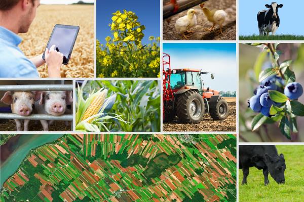 Canada's 2021 Census of Agriculture: A story about the transformation of the agriculture industry and adaptiveness of Canadian farmers