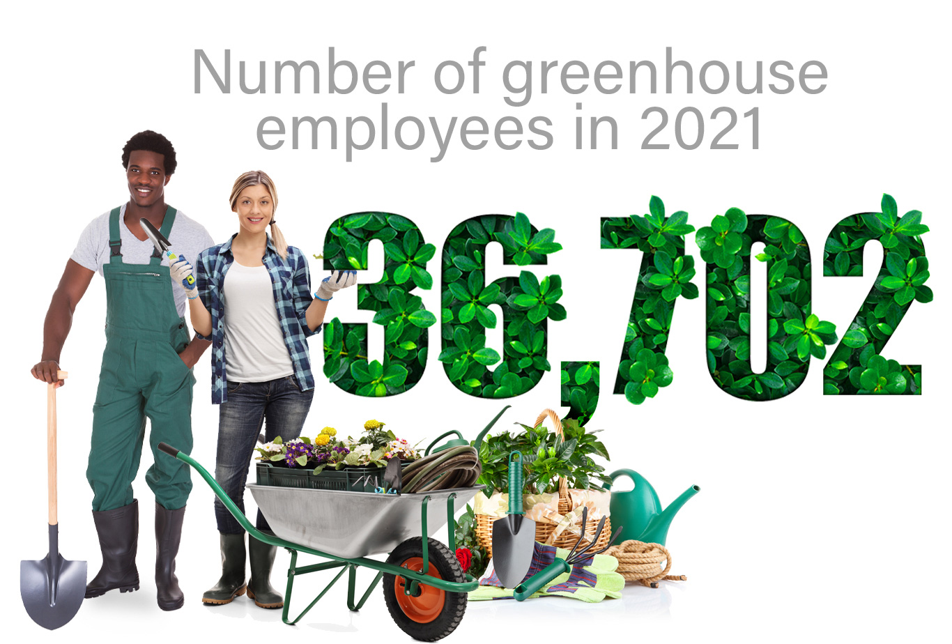 Two greenhouse employees with tools and plants with text "Number of greenhouse employees in 2021 36,702"