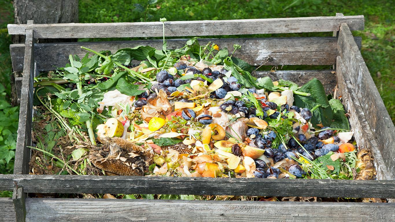 Jardin des Carmes : l'aire de compostage collectif officiellement inaugurée  - Politique & Territoire