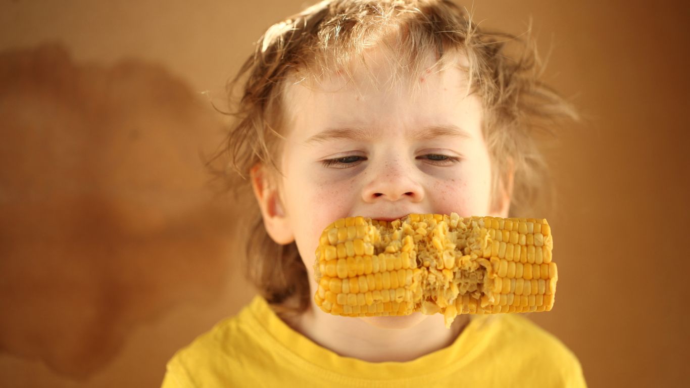 Corn, sweet corn