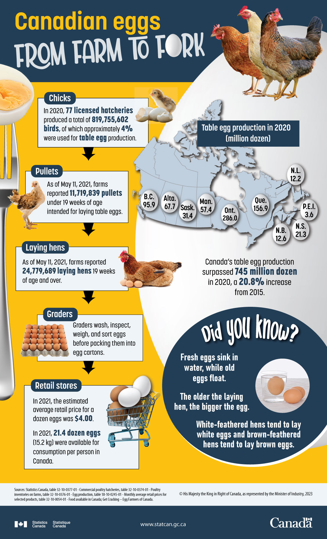 Canadian eggs, from farm to fork