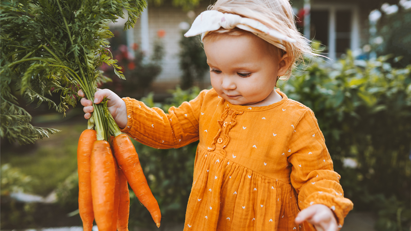 ‘22 Carrot gold: Rooting out some valuable numbers on World Carrot Day