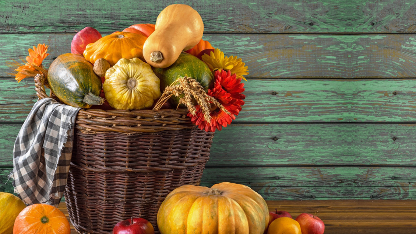 Fall harvest What’s in season? Statistics Canada