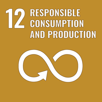 12. Responsible consumption and production