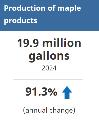 Canadian maple producers harvested 19.9 million gallons of maple syrup in 2024, up 91.3% compared with 2023.