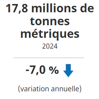 La production de canola a diminué de 7,0 % à l'échelle nationale pour s'établir à 17,8 millions de tonnes en 2024.