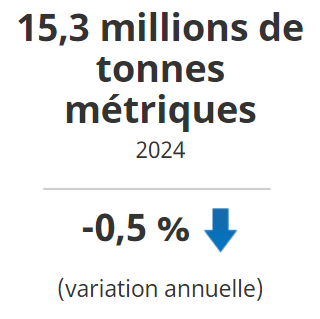 À l'échelle du pays, la production de maïs-grain a diminué de 0,5 % pour s'établir à 15,3 millions de tonnes en 2024.
